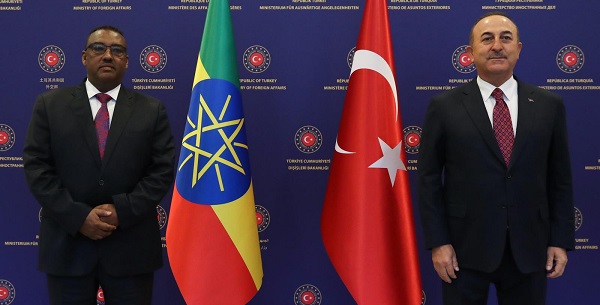 Meeting of Foreign Minister Mevlüt Çavuşoğlu with Deputy Prime Minister and Foreign Minister Demeke Mekonnen of Ethiopia, 15 February 2021